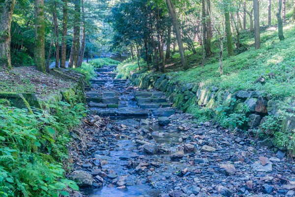 Shallow man made stream through recreational forest on sunny summer morning in South Korea