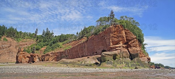 Wooded cliffs, red sandstone, Five Islands Provincial Park, Fundy Bay, Nova Scotia, Canada, North