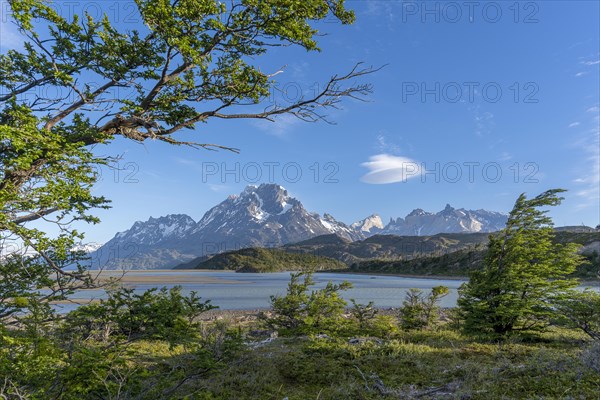 Dreamlike scenery in front of Lago Grey, Torres del Paine National Park, Parque Nacional Torres del
