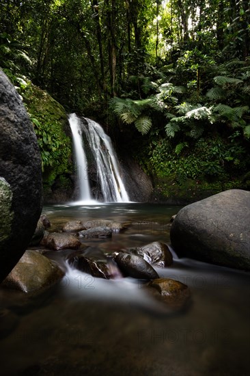 Pure nature, a waterfall with a pool in the forest. The Ecrevisses waterfalls, Cascade aux