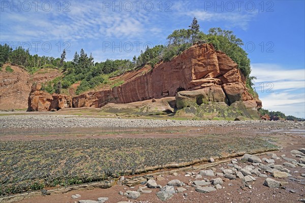 Beach at low tide, cliffs, red sandstone, Five Islands Provincial Park, Fundy Bay, Nova Scotia,
