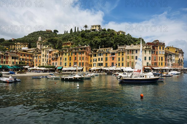 Village with colourful houses and harbour by the sea, Portofino, Province of Genoa, Liguria, Italy,