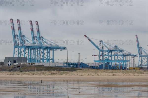 Reflection of harbour cranes and containers on the water under a cloudy sky, Zeebrugge, Flanders,