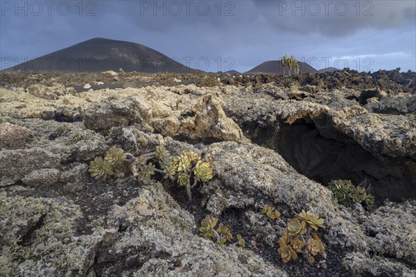 Caldera Colorada, Parque Natural de Los Volcanes, Masdache, Lanzarote, Canary Islands, Spain,