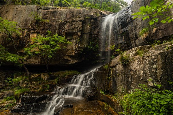 Sunlight filters through the trees onto a cliff from which a waterfall descends into a rocky basin,
