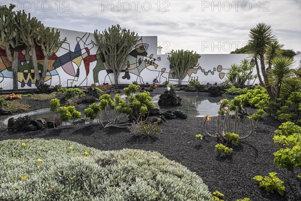 Garden in the inner courtyard of the Fundacion Cesar Manrique, Lanzarote, Canary Islands, Spain,