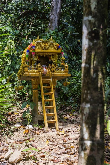 Buddhist temple in the rainforest, jungle, offering, religion, Buddhism, world religion, statue,