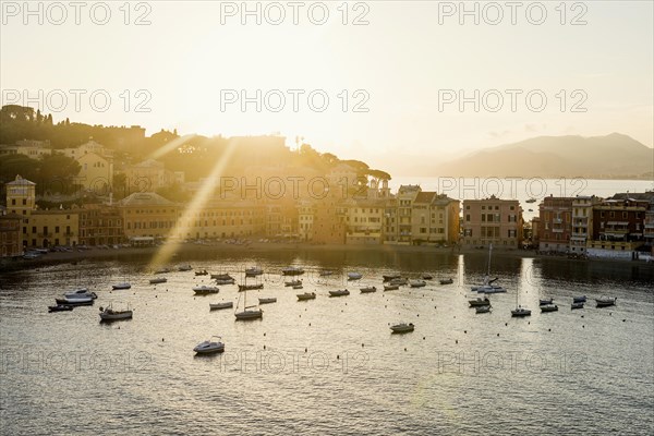 Village with colourful houses by the sea, sunset, Baia del Silenzio, Sestri Levante, Province of
