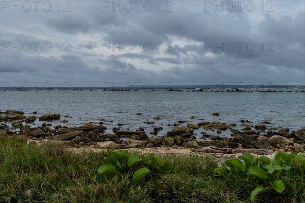 Seascape of rocky shoreline on a cloudy day with buildings on tree lined shore in the distance in