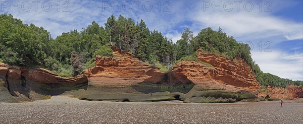 Wooded cliffs, red sandstone, Five Islands Provincial Park, Fundy Bay, Nova Scotia, Canada, North