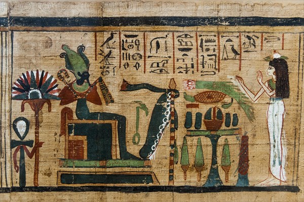 Hieroglyphs on papyrus, message, drawing, Egyptian, kingdom, antiquity, world history, history,