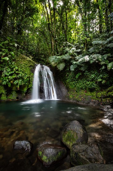 Pure nature, a waterfall with a pool in the forest. The Ecrevisses waterfalls, Cascade aux