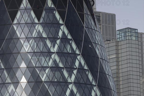 The Gherkin skyscraper building close up of window details with a Herring gull (Larus argentatus)