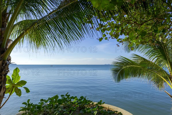 Sea view with palm tree at Maenam beach on Koh Samui, island, palm tree, water travel, holiday,