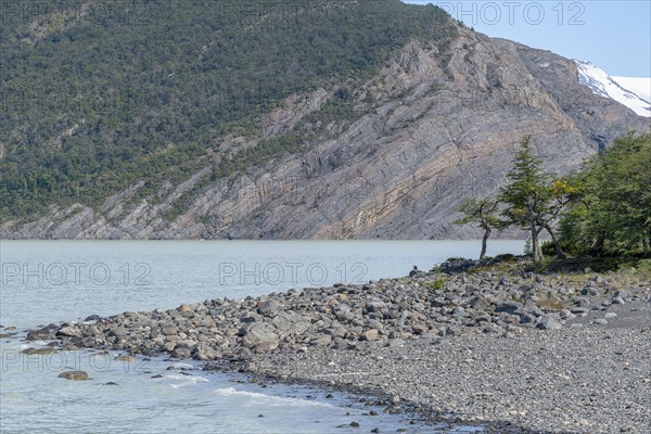 Glacial Lake, Lago Grey, Torres del Paine National Park, Parque Nacional Torres del Paine,