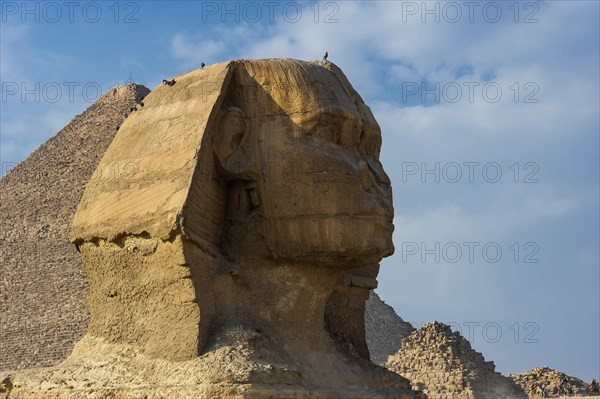 Sphinx of Giza, desert, wonder of the world, building, sculpture, monument, architecture,