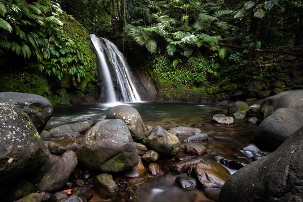 Pure nature, a waterfall with a pool in the forest. The Ecrevisses waterfalls, Cascade aux