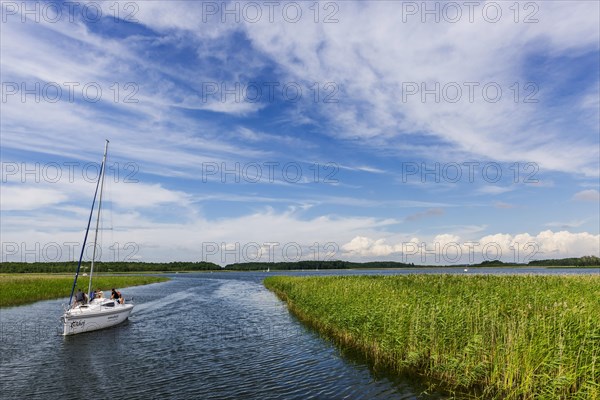 Natural landscape, sailing boat, water sports nature, puristic, reed, seaweed, water, lake,
