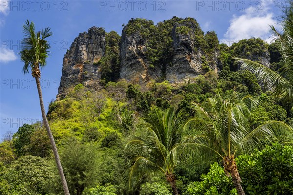 Limestone rocks at Railay Beach, limestone, limestone rocks, travel, holiday, tourism, nature,