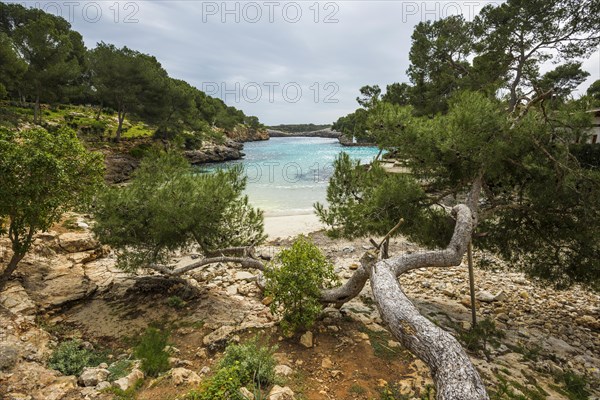 Cala Mitjana, Cala d'Or, Majorca, Balearic Islands, Spain, Europe