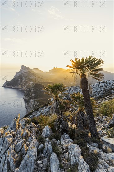 Sunrise, Cape Formentor, Port de Pollenca, Serra de Tramuntana, Majorca, Majorca, Balearic Islands,