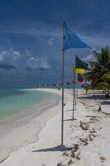 White sand beach with many flags, Bangaram island, Lakshadweep archipelago, Union territory of