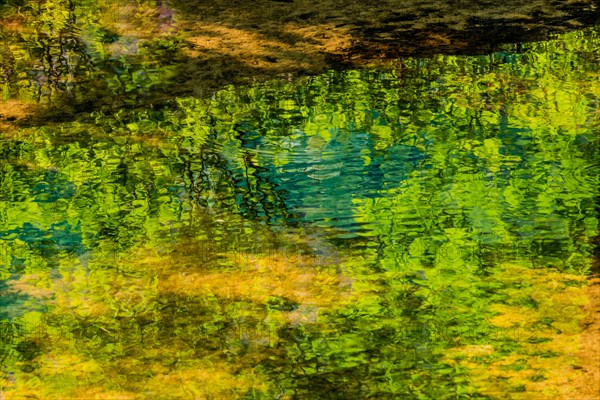 Reflection of a tree and its leaves in a shallow stream on a bright sunny day in South Korea