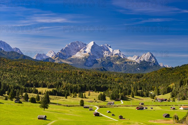 Humpback meadows between Mittenwald and Kruen, Werdenfelser Land, behind it the Zugspitze, 2962m,
