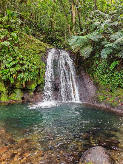 Pure nature, a waterfall with a pool in the forest. The Ecrevisses waterfalls, Cascade aux