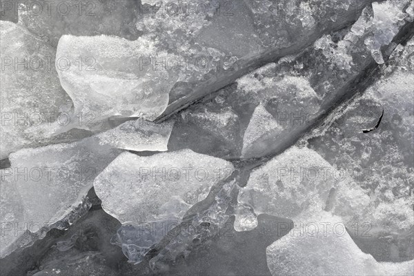 Winter riverscape, ice structures, detail, Saint Lawrence River, Province of Quebec, Canada, North