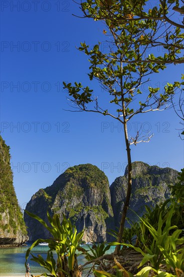 Maya Bay on Ko Phi Phi Don, beach, holiday, beach holiday, holiday paradise, paradise, tourism,