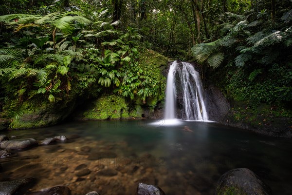 Pure nature, a waterfall with a pool in the forest. The Ecrevisses waterfalls, Cascade aux