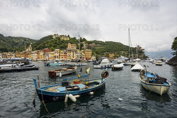 Village with colourful houses and harbour by the sea, Portofino, Province of Genoa, Liguria, Italy,