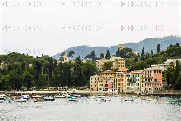Village with colourful houses by the sea, San Michele di Pagana, Rapallo, Italian Riviera, Liguria,