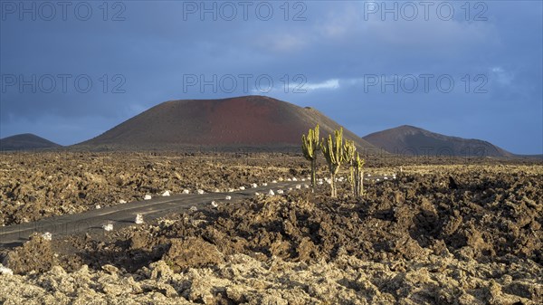 Caldera Colorada, Parque Natural de Los Volcanes, Masdache, Lanzarote, Canary Islands, Spain,