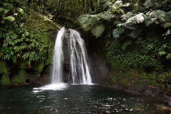Pure nature, a waterfall with a pool in the forest. The Ecrevisses waterfalls, Cascade aux