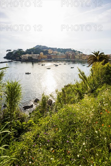 Village with beach and colourful houses by the sea, Baia del Silenzio, Sestri Levante, Province of