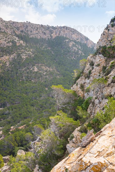 Mountain landscape with steeply rising rock faces and dense woodland, Mediterranean vegetation with