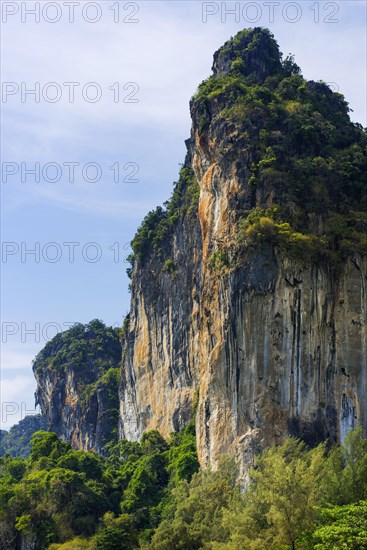 Limestone cliffs at Railay Beach, limestone, limestone cliffs, travel, holiday, tourism, nature,
