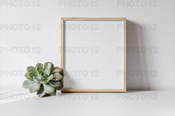 Single wooden empty picture frame leaning on white wall next to succulent houseplant. Poster mockup