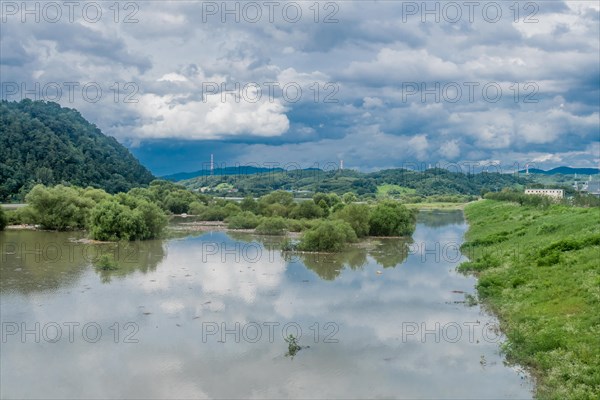 Landscape of tall damaged trees in flooded river after torrential monsoon rainfall in Daejeon South