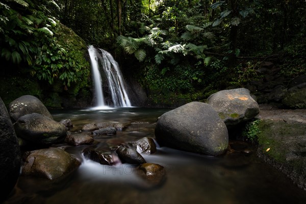 Pure nature, a waterfall with a pool in the forest. The Ecrevisses waterfalls, Cascade aux