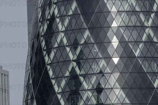 The Gherkin skyscraper building close up of window details with a Herring gull (Larus argentatus)