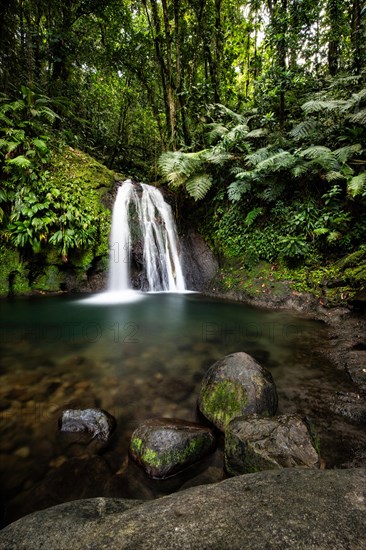 Pure nature, a waterfall with a pool in the forest. The Ecrevisses waterfalls, Cascade aux