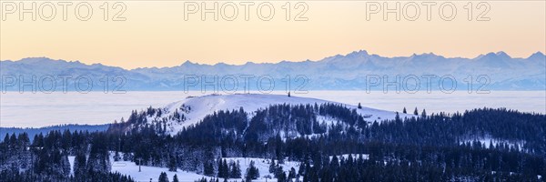 View from the Feldberg over the Herzogenhorn to the Swiss Alps, in front of sunrise,