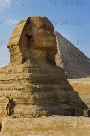 Sphinx of Giza, desert, wonder of the world, building, sculpture, monument, architecture,
