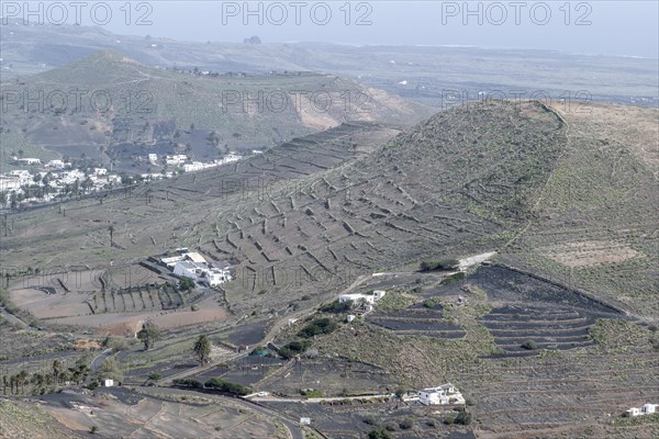 Agriculture terraced landscape seen from the Mirador del Guinate, Haria, Lanzarote, Canary Islands,