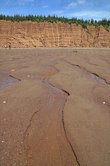Sandy beach beach at low tide, cliffs, red sandstone, Five Islands Provincial Park, Fundy Bay, Nova