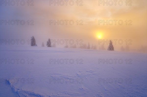 Winter on the Feldberg at sunrise, Breisgau-Hochschwarzwald district, Baden-Wuerttemberg, Germany,