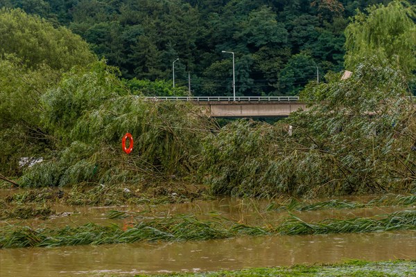 Damaged trees in flooded water with a bridge in the background under an overcast sky, in South